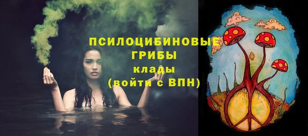 apvp Гусь-Хрустальный