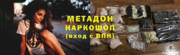 амф Гусев