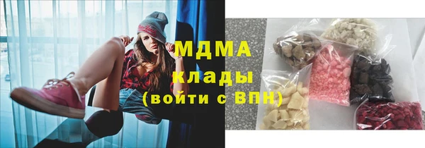 амф Гусев