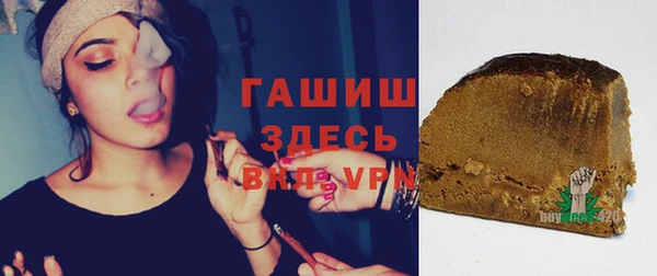 амф Гусев