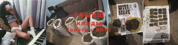 амф Гусев