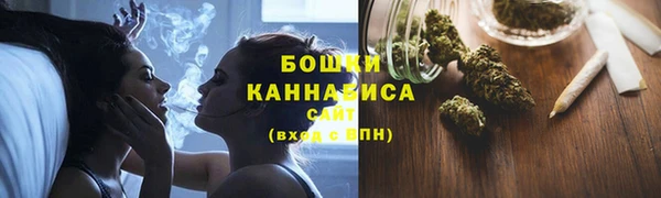 шишки Дмитровск