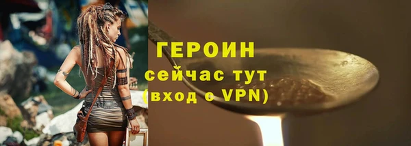 амф Гусев
