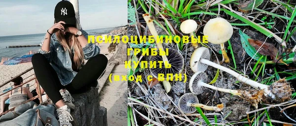спиды Наволоки
