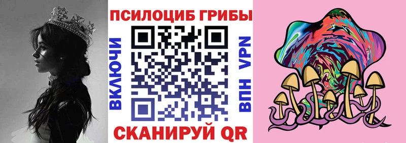 закладки  Нестеровская  Псилоцибиновые грибы мухоморы 